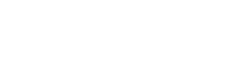 Logo QNECT Business White